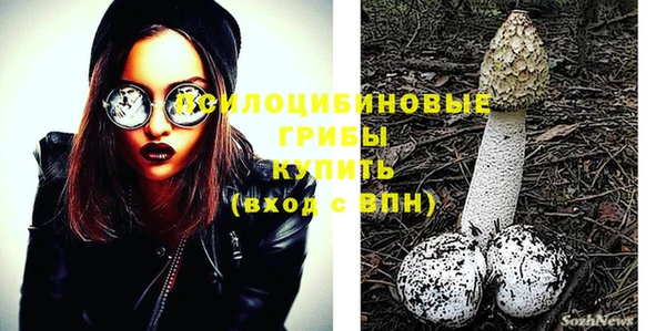 бошки Володарск