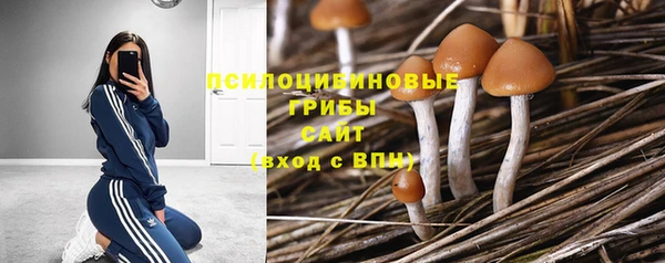 бошки Володарск